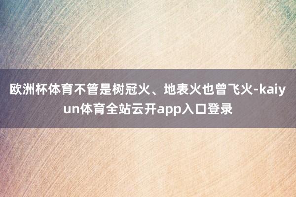 欧洲杯体育不管是树冠火、地表火也曾飞火-kaiyun体育全站云开app入口登录