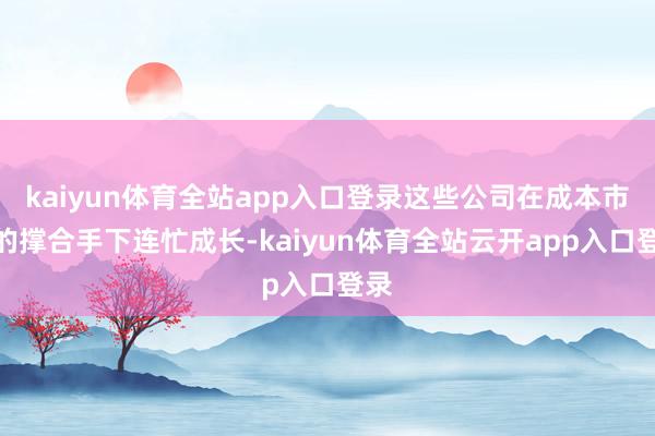 kaiyun体育全站app入口登录这些公司在成本市集的撑合手下连忙成长-kaiyun体育全站云开app入口登录